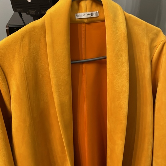 Zara Fall Coat - Picture 2 of 2